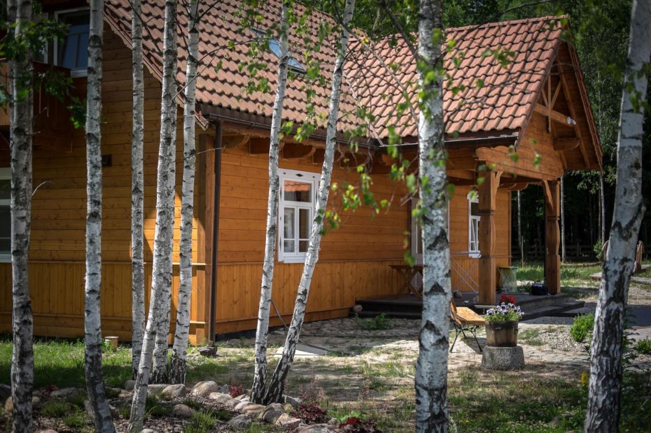 Bed and Breakfast Miodowa Kolonia Białowieża Exteriér fotografie