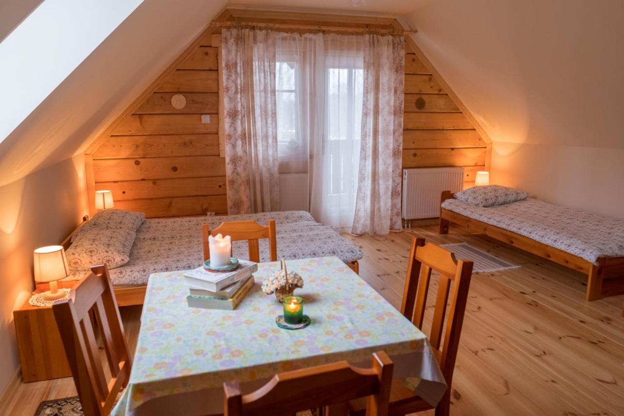 Bed and Breakfast Miodowa Kolonia Białowieża Exteriér fotografie